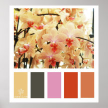 Orchids Colour Palette Poster