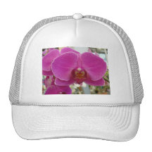 Orchids Hot Pink Mesh Hats