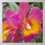 Orchids in bloom poster