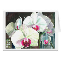 Orchids in full bloom greeting card