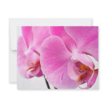 Orchids invitations