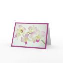 Orchids On White, Happy Birthday! cards
