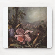 Orchids, passion flowers and hummingbirds by Marti mousepads