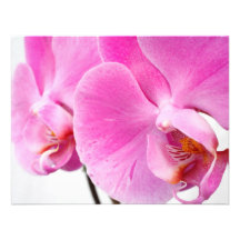 Orchids Personalized Invite