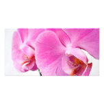 Orchids photo cards