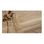 Orchids Profile Card Business Card