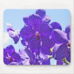Orchids Purple/Blue Mouse Mat