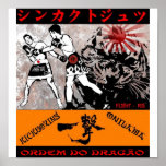 ORDEM DO DRAGÃO POSTERES