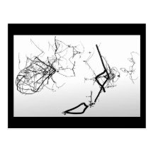 Ordered chaos post card