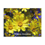 Oregon Sunshine postcards