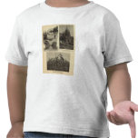 Oregon, where every prospect pleases t shirt