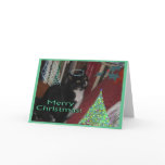 Oreo the Sweet Wonder Cat cards
