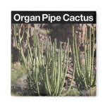 Organ Pipe Cactus National Monument magnets