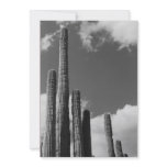 Organ Pipes (AZ Sonoran Desert) Invite invitations
