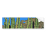 Organ Pipes bumper stickers