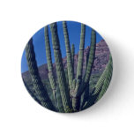 Organ Pipes buttons