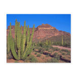 Organ Pipes In Death Valley postcards