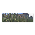 Organ Pipes In Desert bumper stickers