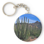 Organ Pipes In Desert keychains