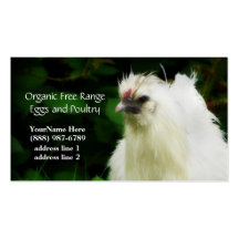 Organic Chickens and Eggs  Business Cards