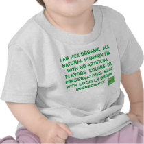Organic Pumpkin Pie T-shirt