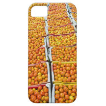 Organic tomatoes or Solanum lycopersicum in basket iPhone 5 Cover