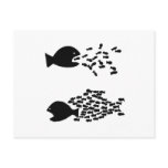 organise fish postcard