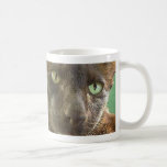 Oriental Cat Mug