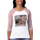 Oriental cat pride shirt