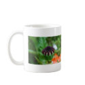 Oriental Poppy Bud mugs