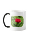 Oriental Red Poppy Morphing Mug
