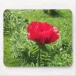 Oriental Red Poppy Mousepad