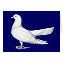 Oriental Roller:  Flying Type Card