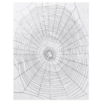 Origami Craft Paper, Spiderweb, Halloween Fun Flyer