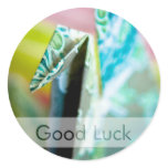 Origami Crane • Good Luck Sticker