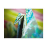 Origami Crane • Postcard