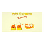 Origin of The Species