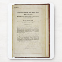 ORIGINAL 17th Amendment U.S. Constitution Mousepads