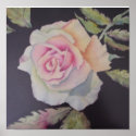 Original watercolor painting rose poster posters