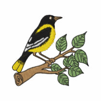 Oriole Polo