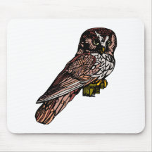 Orion Owl Mousemats