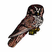 Orion Owl
