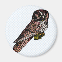 Orion Owl Refrigerator Magnet