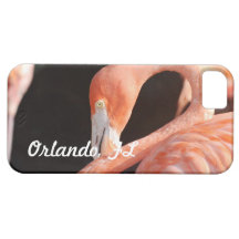 Orlando iPhone 5 Case