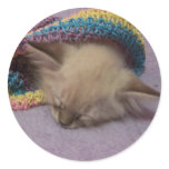 Orlando the siamese stickers