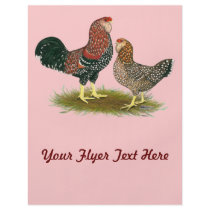 Orloff:  Spangled Pair Flyer Design