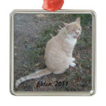 Ornament: Marmalade Cat Yawning