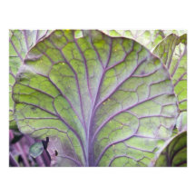 ornamental cabbage personalized invite