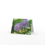 Ornamental Onion Note Card