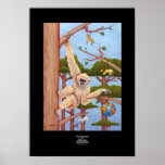 Ornaments posters